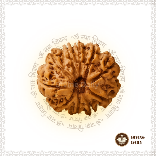 10 Mukhi Lab Tested Rudraksha