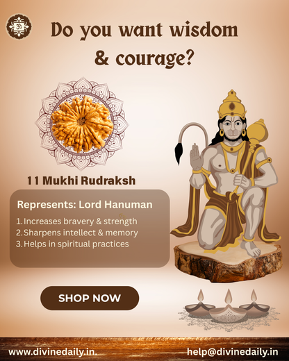 11 Mukhi Lab Tested Rudraksha