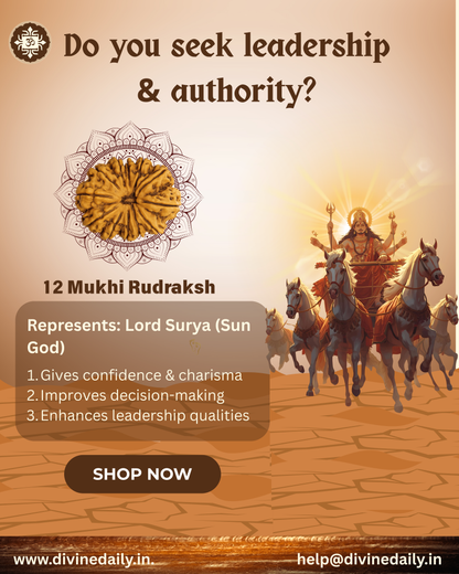 12 Mukhi Lab Tested Rudraksha