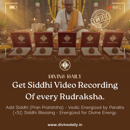 04 Mukhi Lab Tested Rudraksha