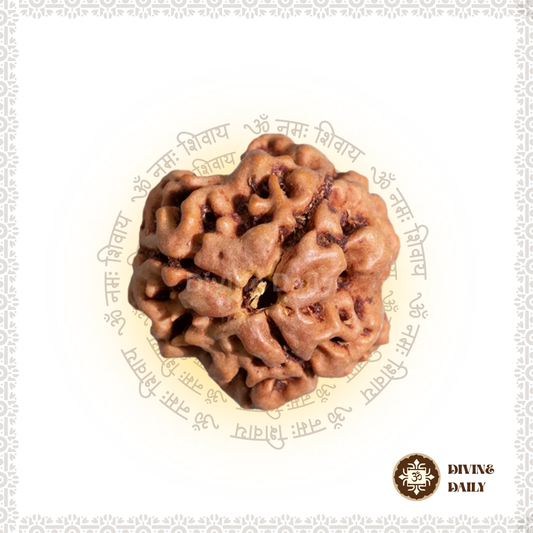 03 Mukhi Lab Tested Rudraksha