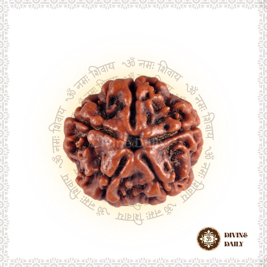 05 Mukhi Lab Tested Rudraksha