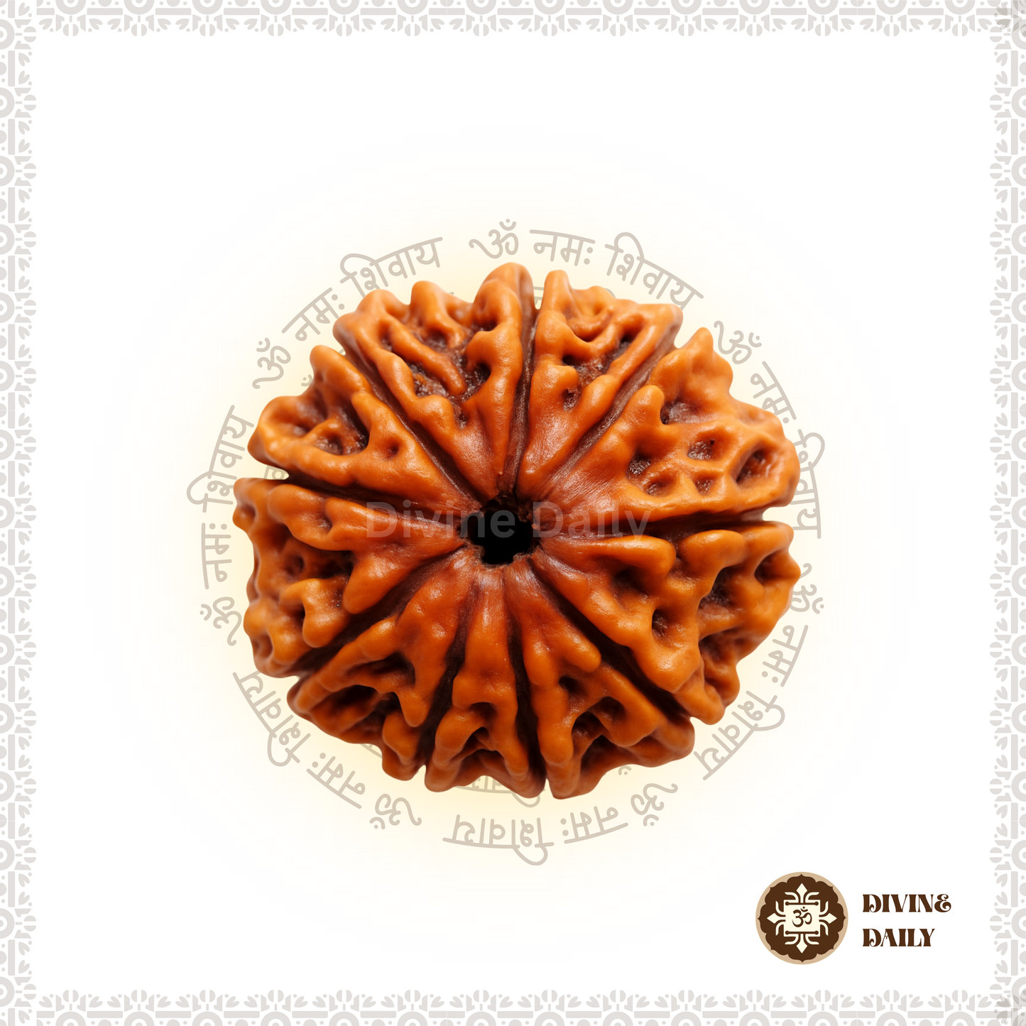 09 Mukhi Lab Tested Rudraksha